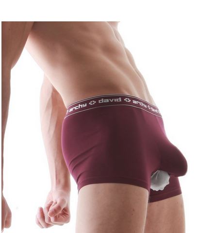 Separate Tech  Separatec Underwear for Men